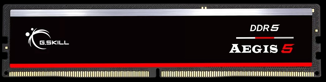G.SKILL F5-6000J3636F16GX1-IS