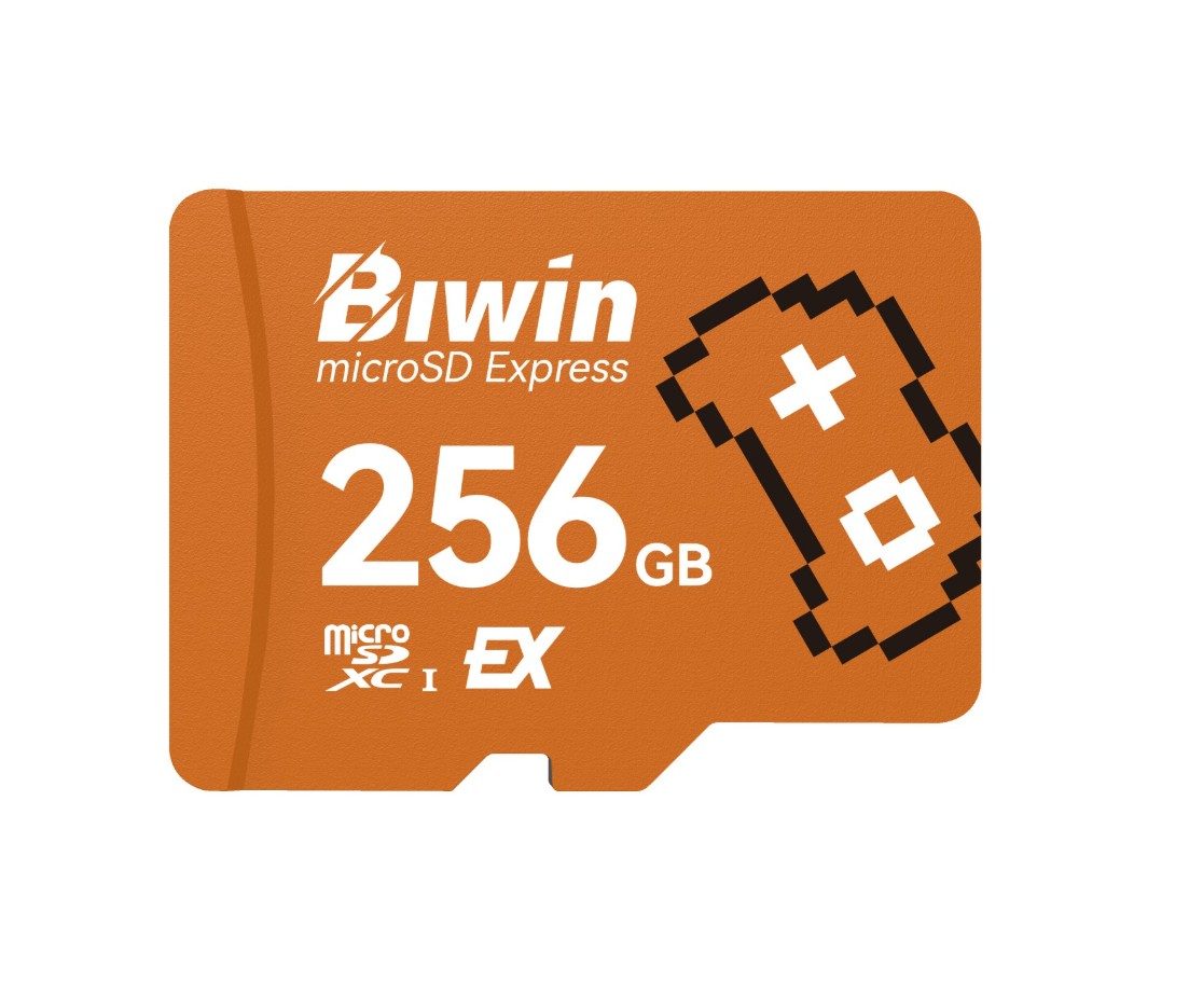 BIWIN BAME300256G-RGX