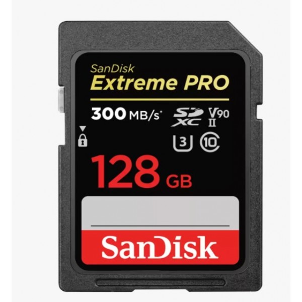 Sandisk SDSDXDK-128G-GN4IN